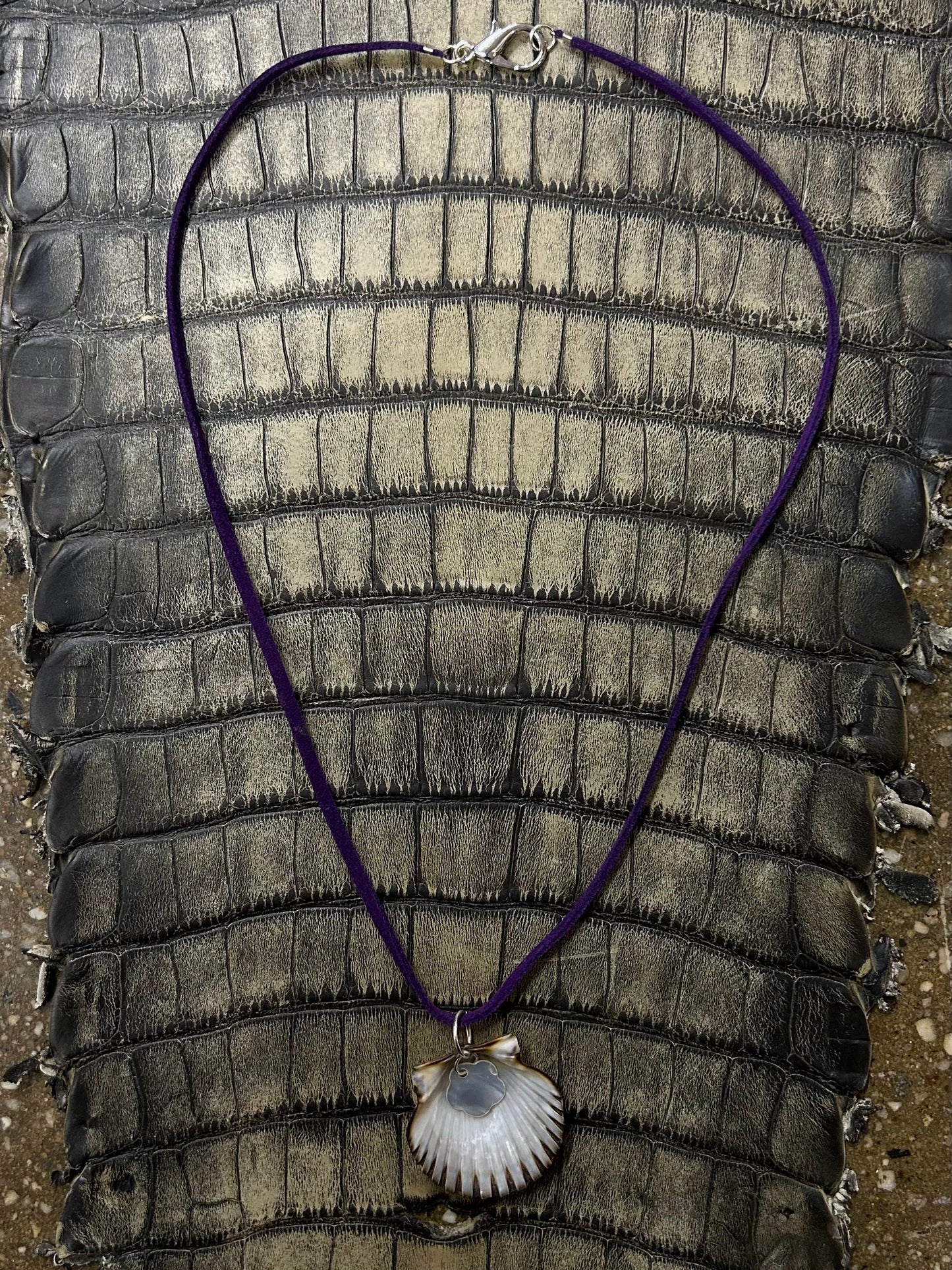 Scallop necklace ⋆。𖦹 ˚ 𓇼 ˚。⋆