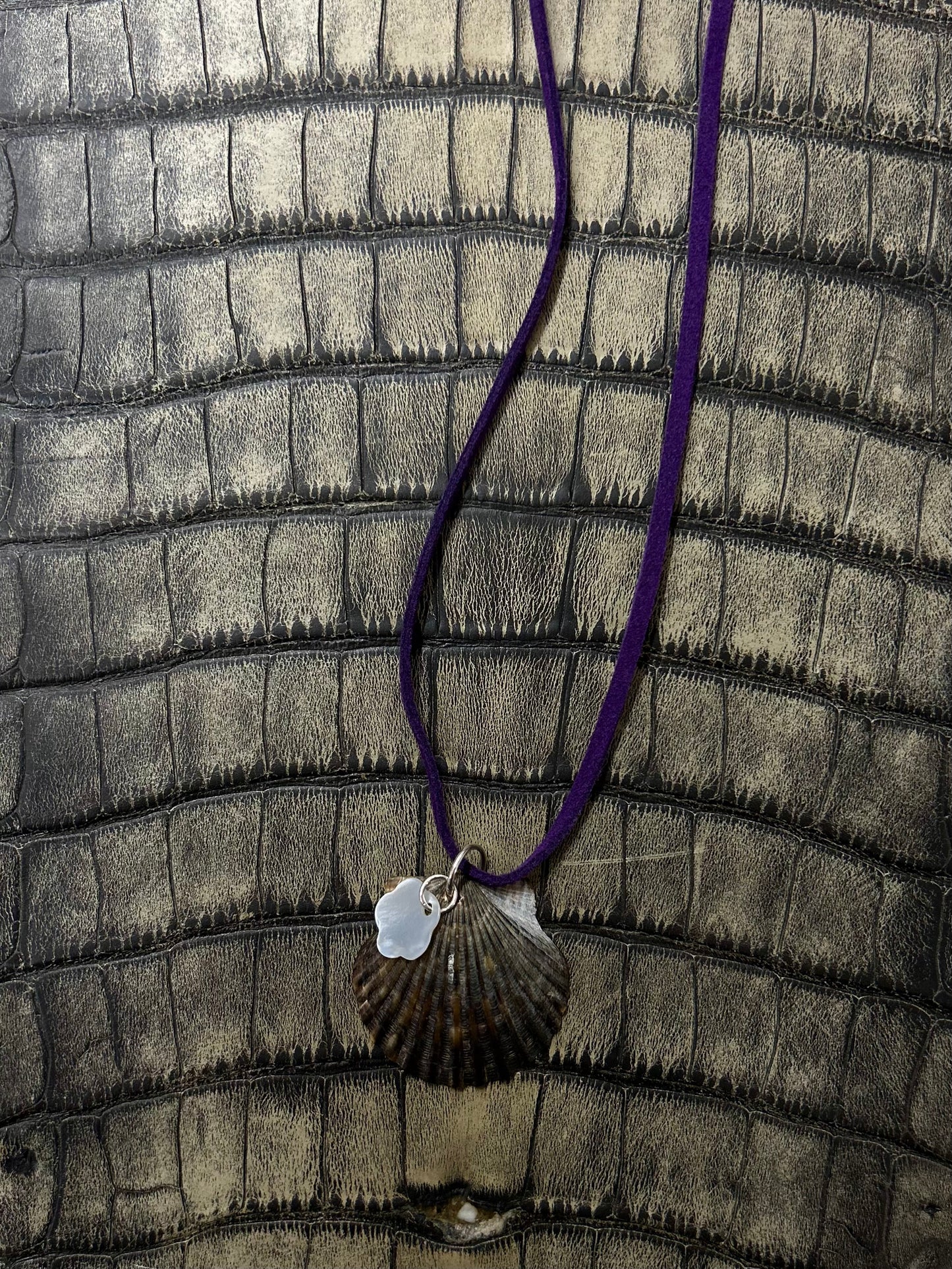 Scallop necklace ⋆｡𖦹 ˚ 𓇼 ˚｡⋆