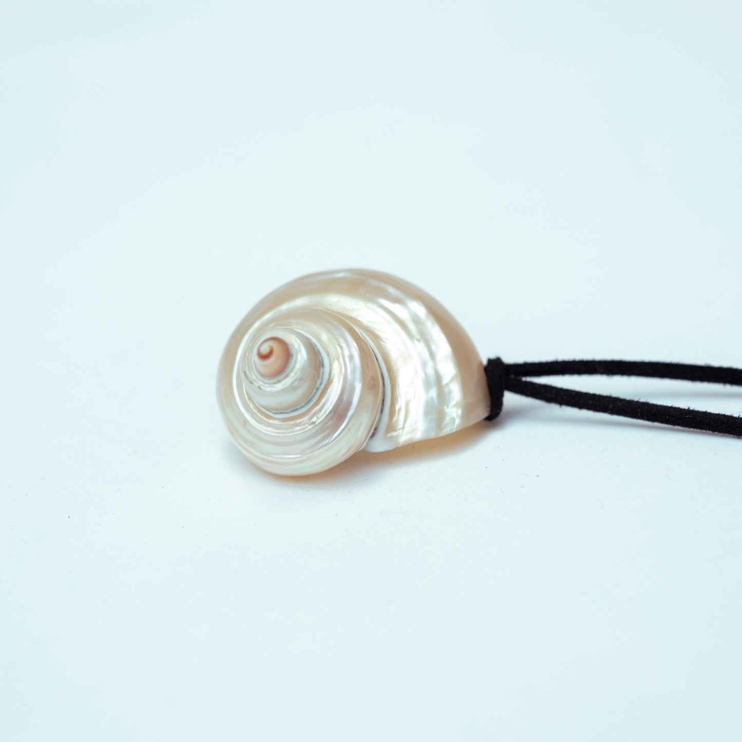 Shell Belt / Necklace