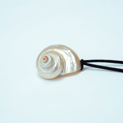 Shell Belt / Necklace
