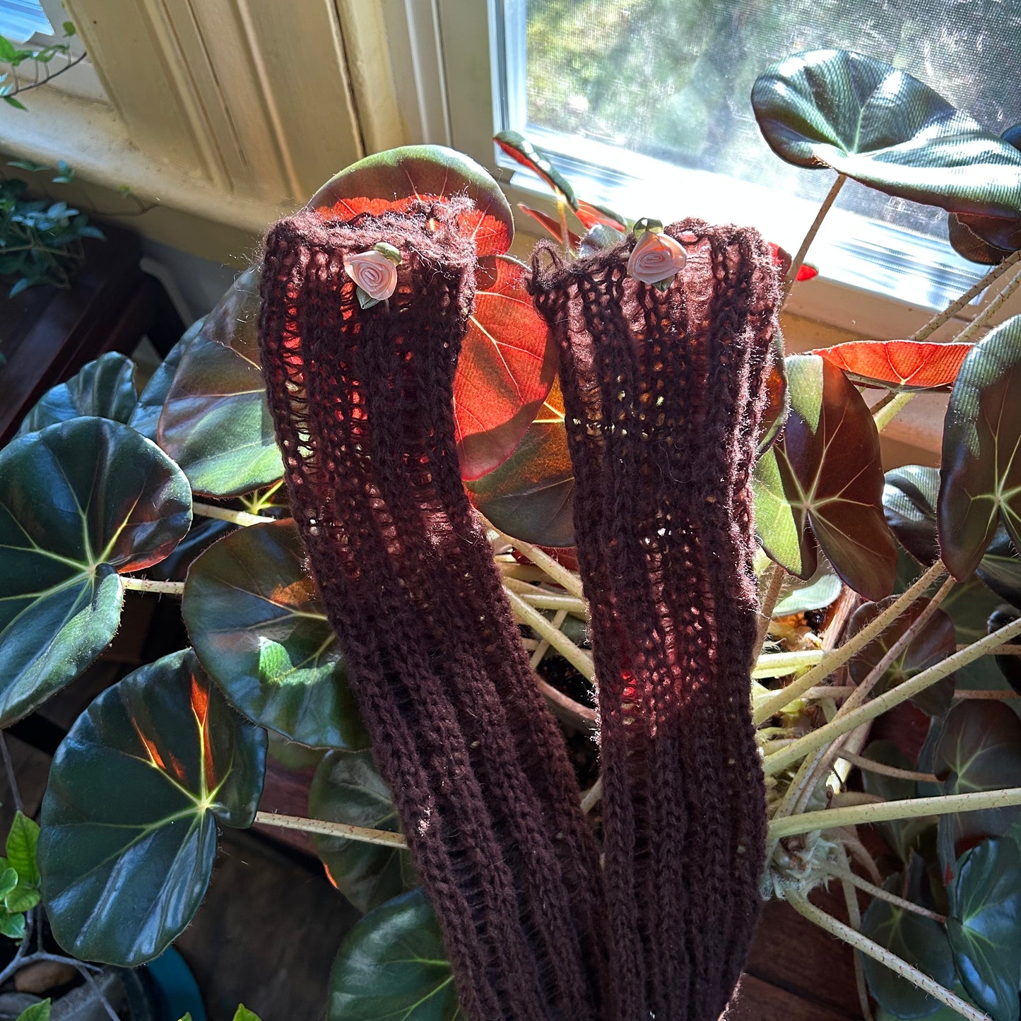 Belle Arm Warmers ꩜ .ᐟ