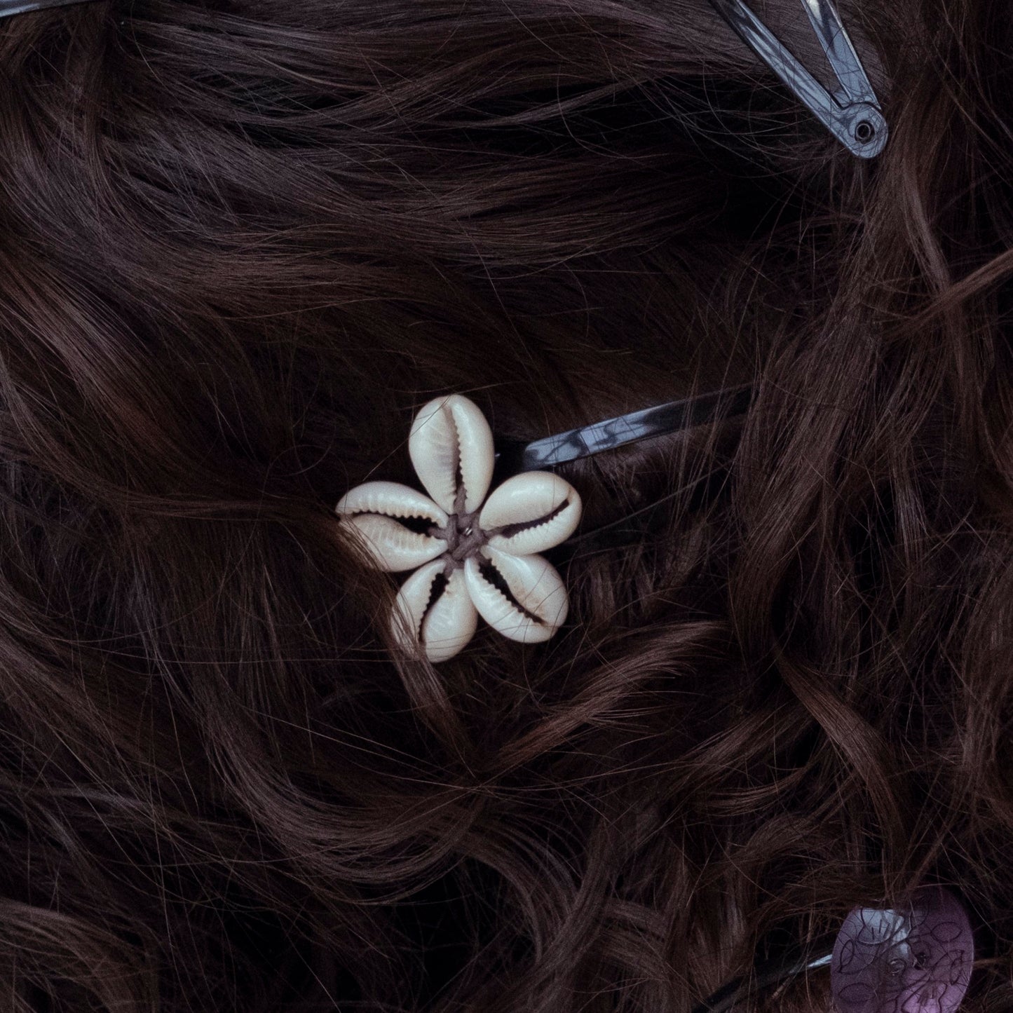 Shell Hair Clip
