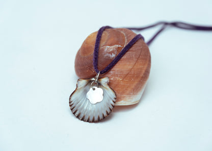 Scallop necklace ⋆｡𖦹 ˚ 𓇼 ˚｡⋆