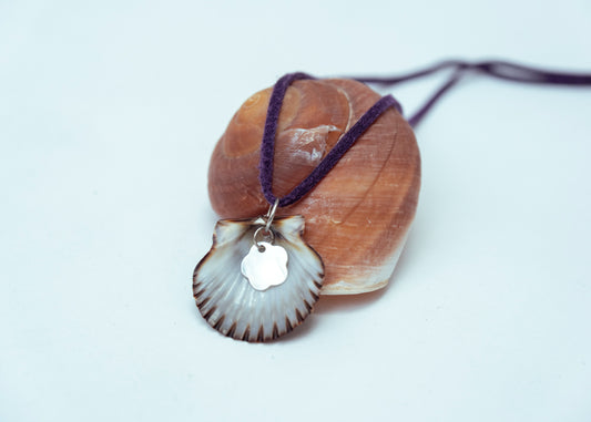 Scallop necklace ⋆｡𖦹 ˚ 𓇼 ˚｡⋆