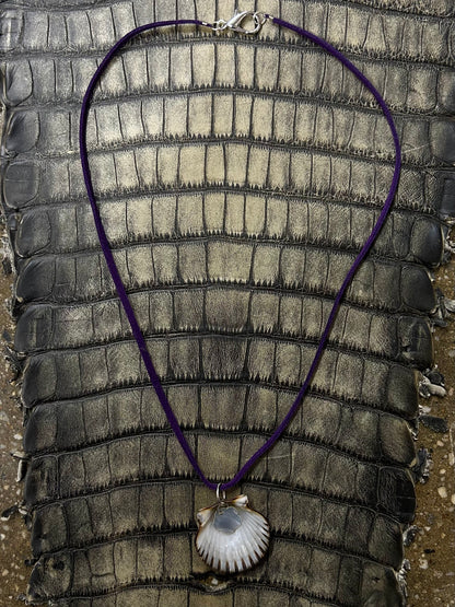 Scallop necklace ⋆｡𖦹 ˚ 𓇼 ˚｡⋆